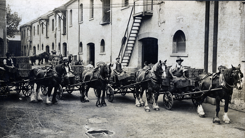 Draymen with bottled beer in baskets, late 1800s, Kent Brewey, Sydney NSW